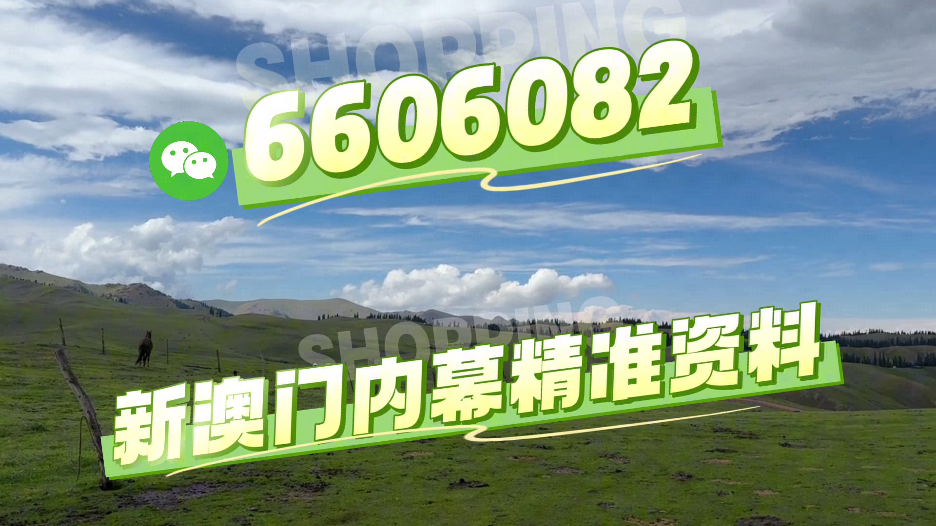 最快澳門今晚必中一肖一碼2025王中王開獎十，揭秘彩票背后的秘密與策略，揭秘彩票背后的秘密與策略，澳門今晚必中一肖一碼王中王開獎預(yù)測（2025年）